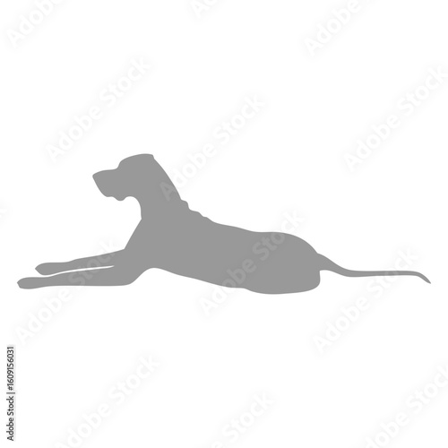 dog icon shadow_1