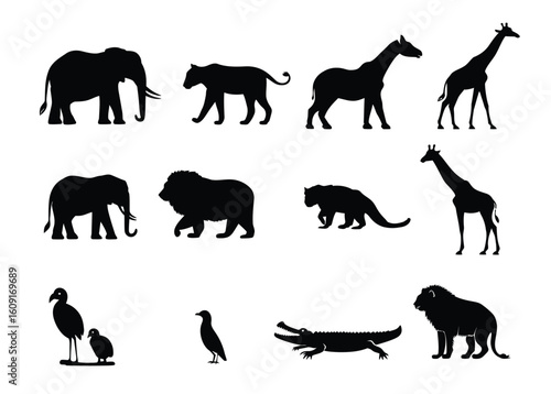 Silhouette illustration of various animals including mammals reptiles and birds in black and white