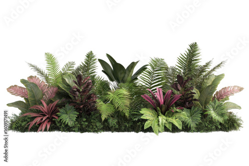 Explore Lush Vegetation Displaying Tropical Foliage and Leafy textures