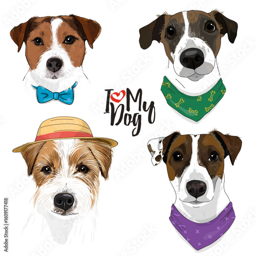 Hand-drawn set with cute Jack Russell Terrier dogs with bandanas around their necks and wearing a hat in sketch style.