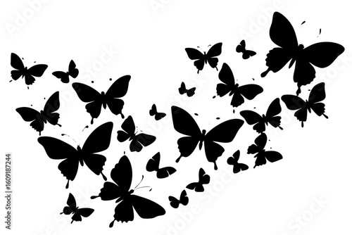 Vector art of silhouette of  butterflies
