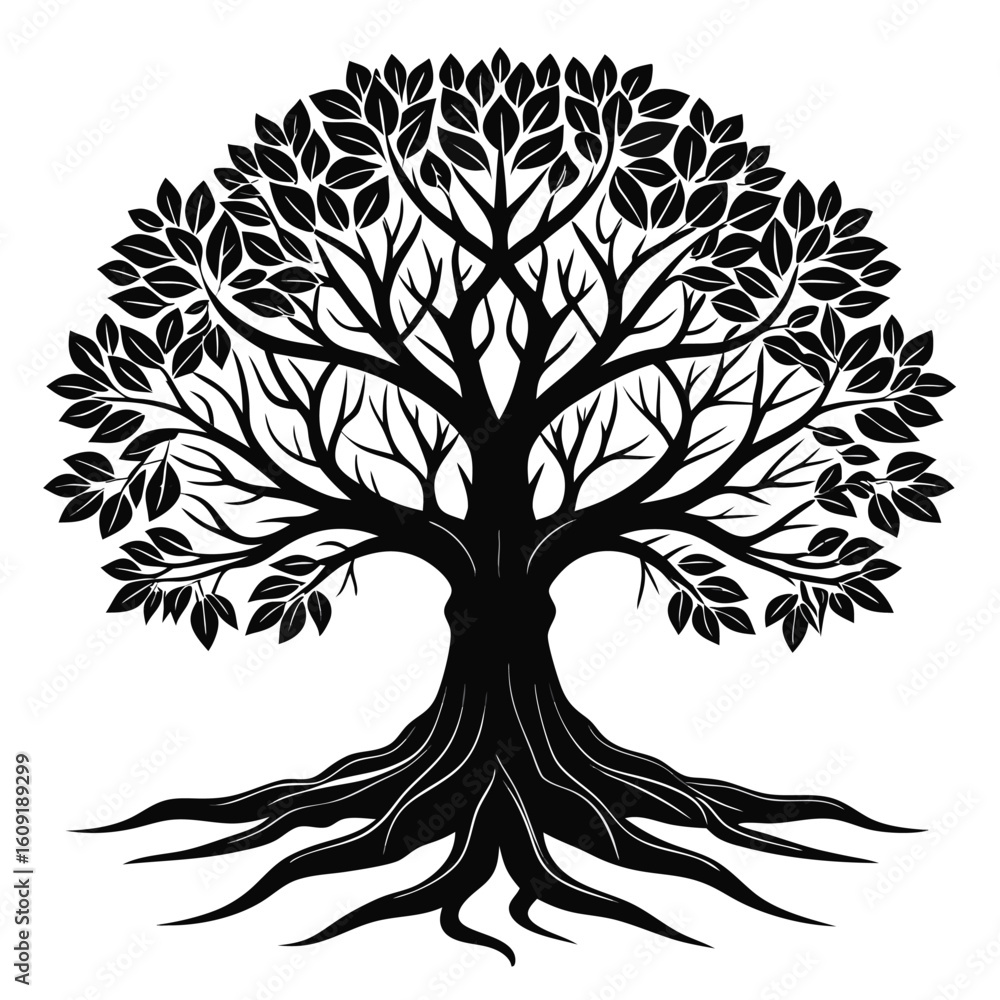 Obraz premium Stylized silhouette of a mature deciduous tree