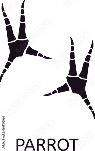 Parrot footprint showing zygodactyl feet, typical arrangement with two toes pointing forward and two toes pointing backward, useful for gripping branches and climbing trees