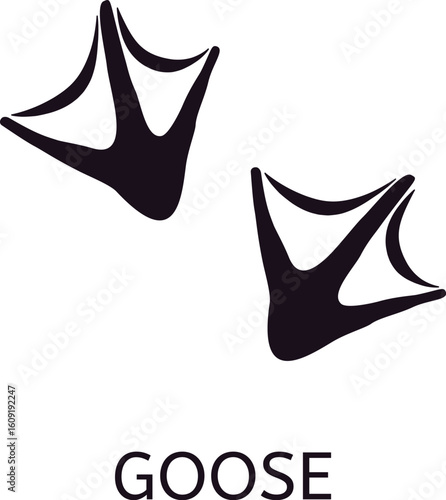 Pair of webbed goose footprints indicating the bird's direction of travel, set against a clean white background. Capturing the essence of wildlife and nature's journey