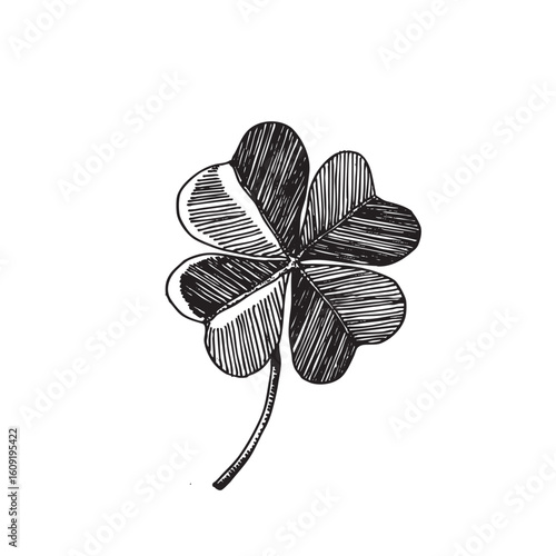 Clover leaves sketch. Decorative sceleton leaf icons. Vector hand drawn illustration. Minimal line art style. St Patrick's day elements.