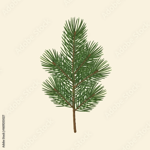 A detailed illustration of a pine branch, showcasing its needles and woody stem against a pale background.