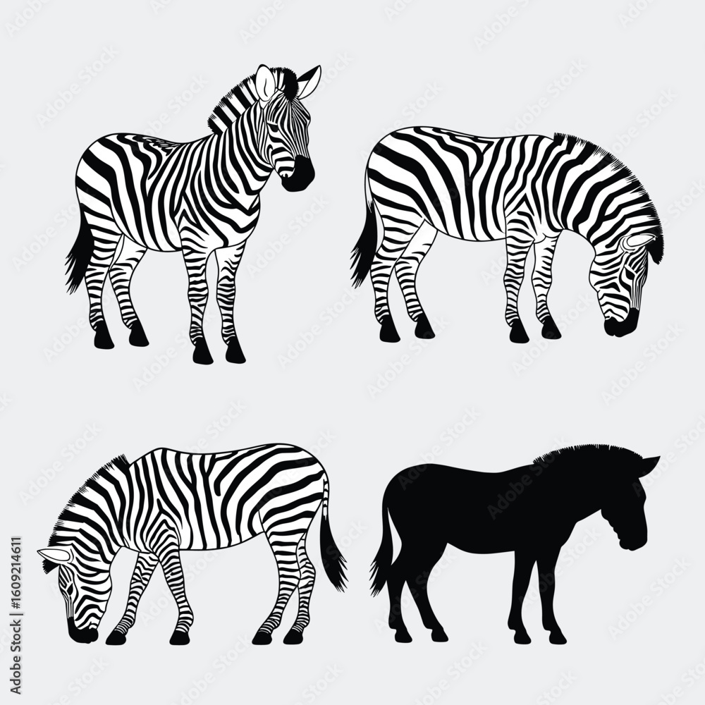 Obraz premium Four zebra illustrations with varied poses and styles