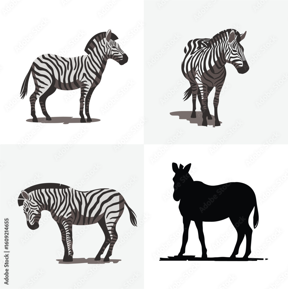 Fototapeta premium Four zebra illustrations with varied styles and poses