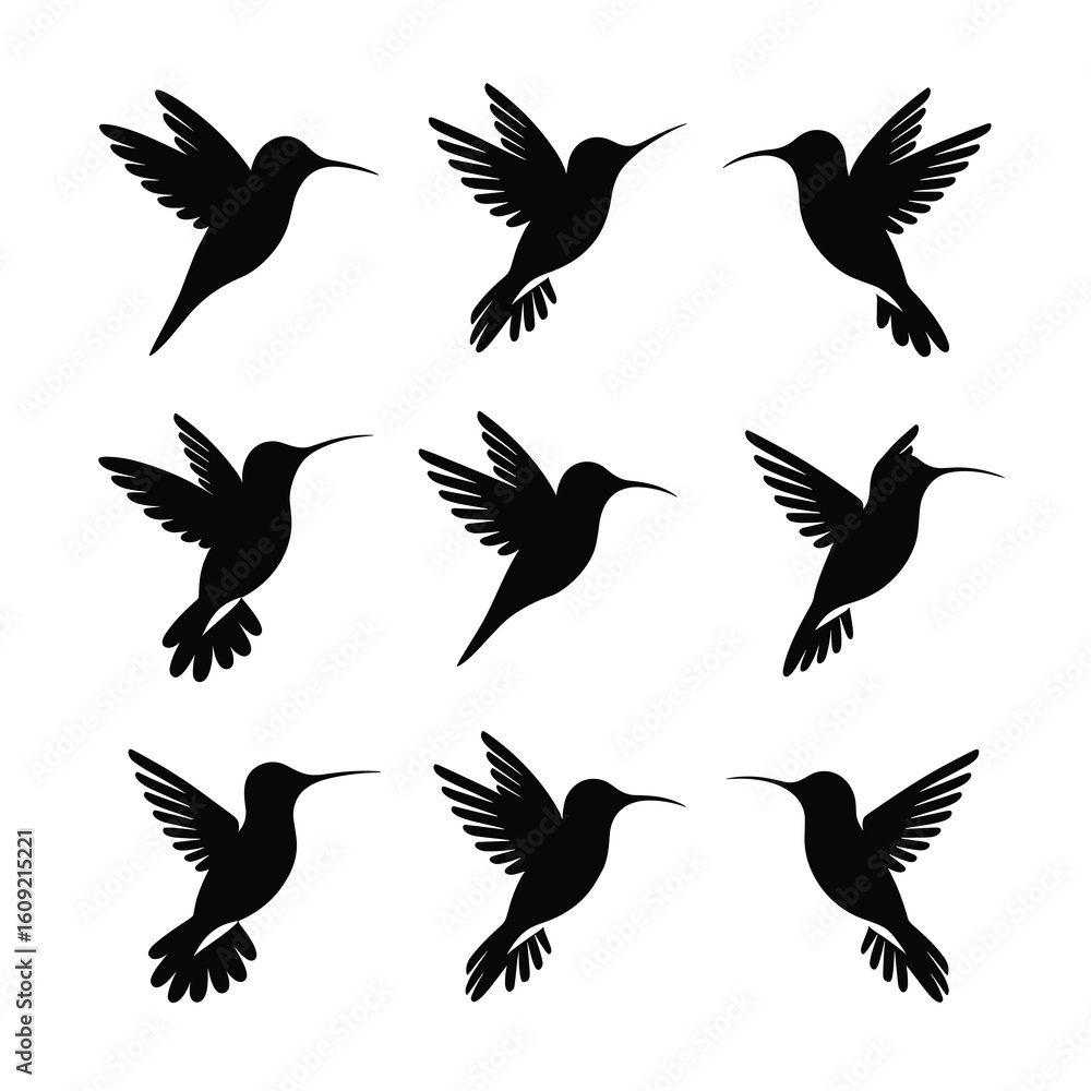 Fototapeta premium Nine black hummingbird silhouettes in flight flying 1