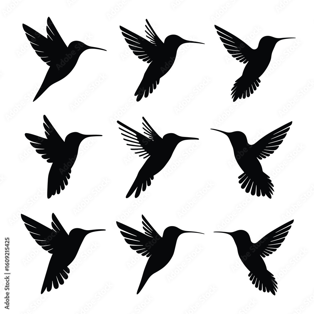 Obraz premium Nine black hummingbird silhouettes in flight flying 4