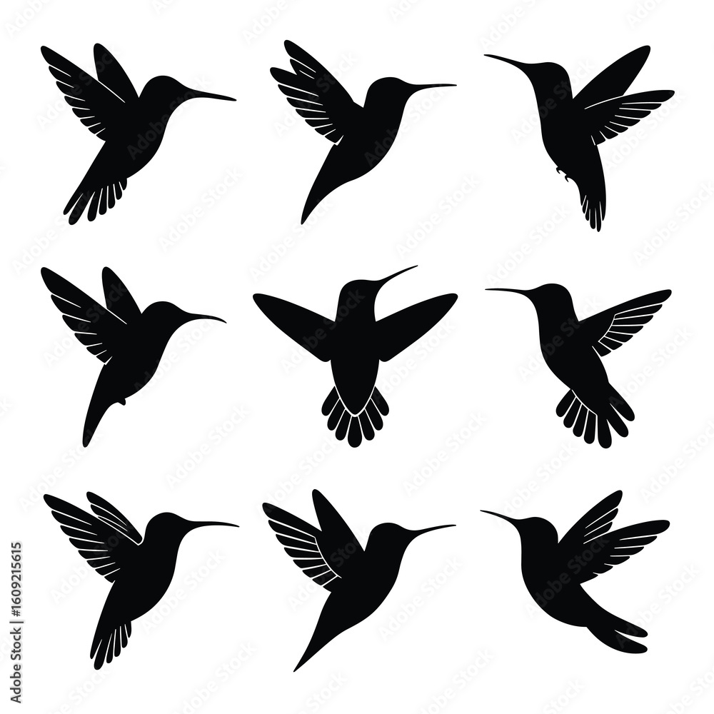 Obraz premium Nine Black Hummingbird Silhouettes in Various Flying Poses 1