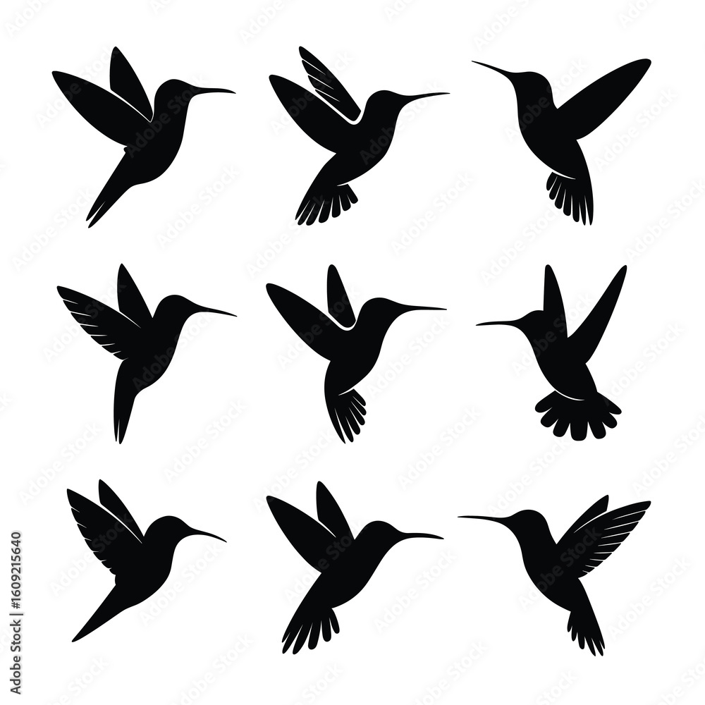 Obraz premium Nine black hummingbird silhouettes in various flying poses