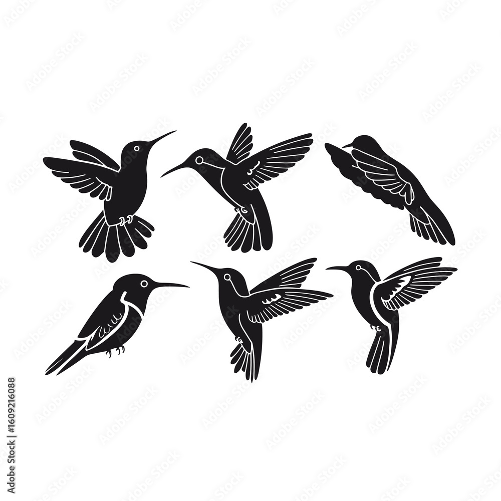 Fototapeta premium Six stylized black hummingbirds in flight and perched 1