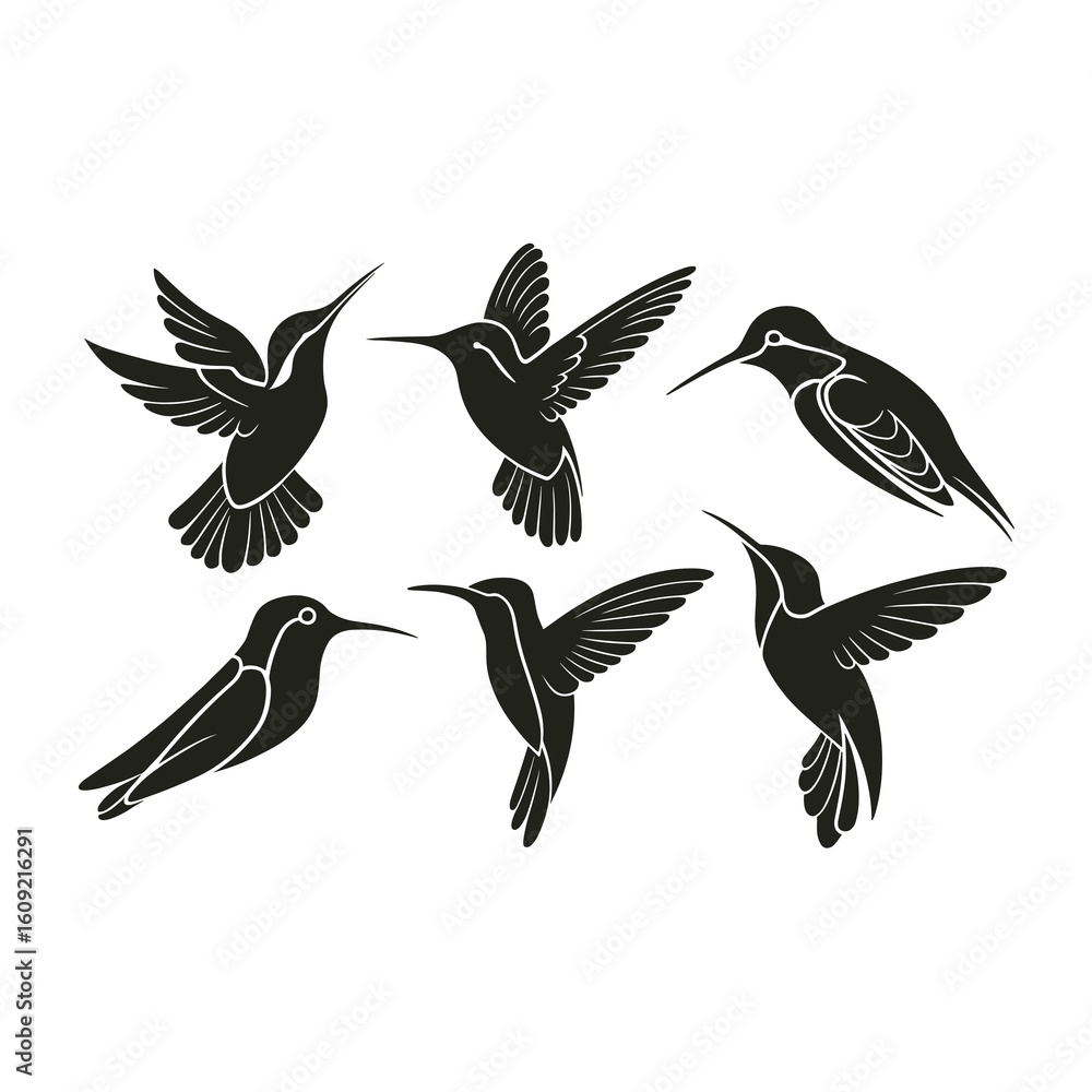 Obraz premium Six stylized black hummingbirds in flight on white background