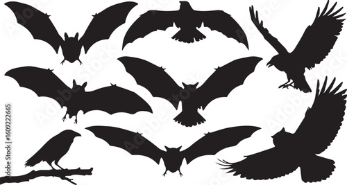 Bats and birds flying silhouettes wings
