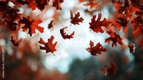 Beautiful Autumn Leaves Falling Gently as the Sunlight Filters Through the Tr...