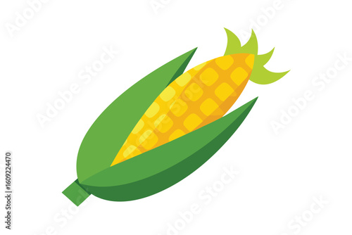 Sweet Corn Cob Illustration Isolated On White