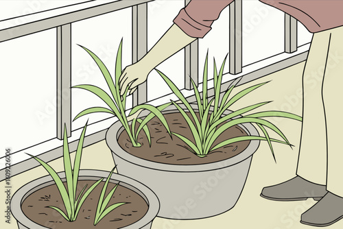 Person tending to potted plants on a balcony with a hand touching the leaves of one of the plants