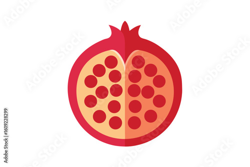 Pomegranate Cross Section Showing Seeds Vector On White