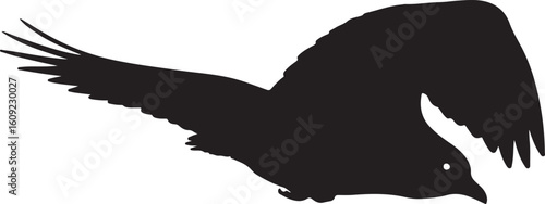 Bird flying shape shape in silhouette image white backgrpound pure۔