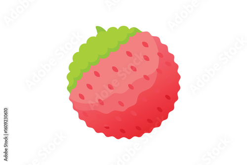Lychee Fruit Peeled With Texture Flat Vector On White Background