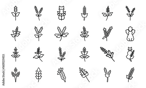 Bundle Catmint Icon Silhouettes Style White Background