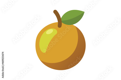 Flat Cartoon Sapodilla Fruit Vector On White