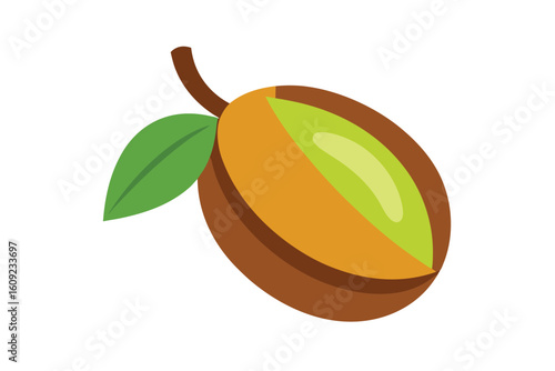Flat Cartoon Sapodilla Fruit Vector On White