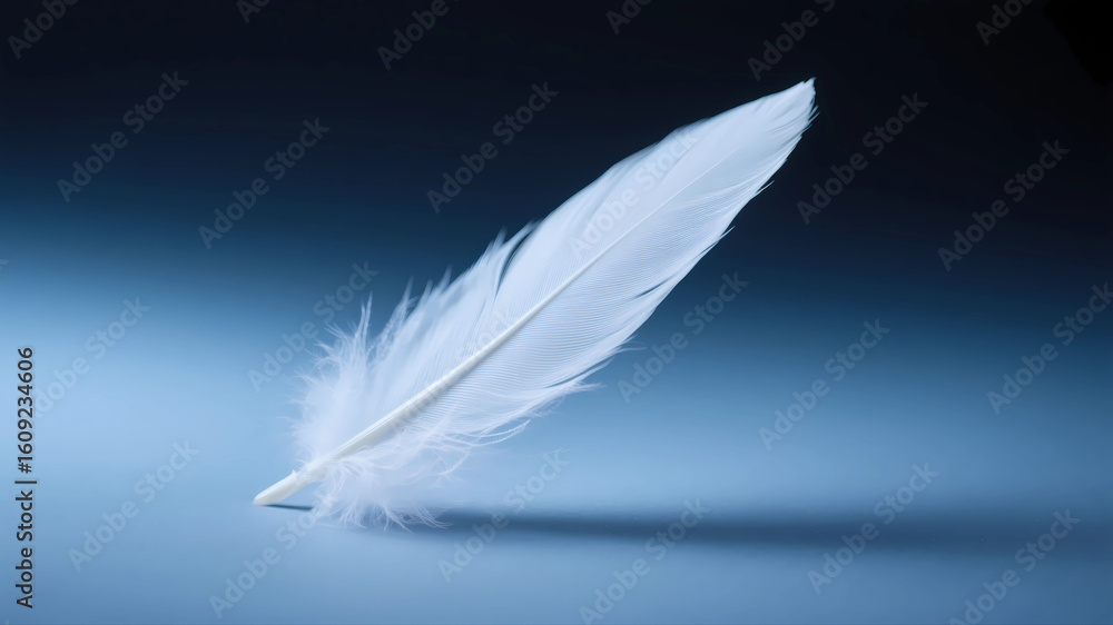 Obraz premium Close-up of white feathers