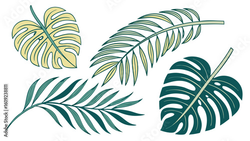 Tropical Palm Leaves Vector Pack PNG – Bright Colors, Clean Lines, Summer Foliage Design