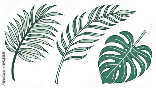 Tropical Palm Leaves Vector Pack PNG – Bright Colors, Clean Lines, Summer Foliage Design