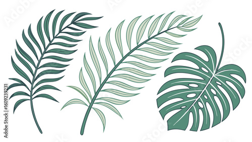 Tropical Palm Leaves Vector Pack PNG – Bright Colors, Clean Lines, Summer Foliage Design