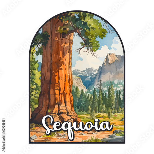 Sequoia national park, USA National park, United States of America National Park, national park service
