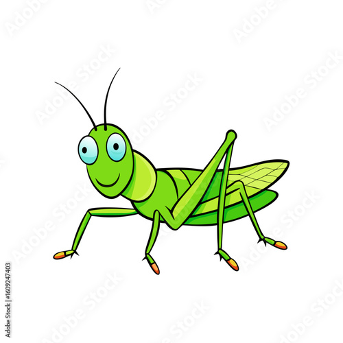 Creative Vector Style Grasshopper on White Background