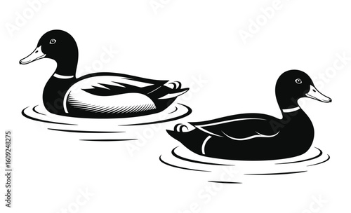 Black and White Duck Illustrations: Elegant Waterfowl Vector Art for Nature Designs