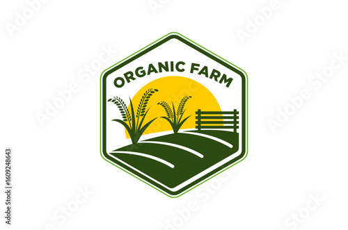 Organic farm logo design, green field, golden sun, and wheat or rice plants. Vector illustration.