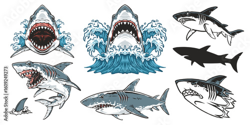 Diverse shark illustrations and styles