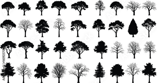 Silhouettes of various tree types, deciduous and evergreen, vector collection, black tree illustrations isolated on white background, nature elements