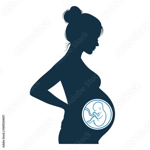 Pregnant Woman with Fetus in Womb Icon – Pregnancy Symbol Vector Illustration on White Background