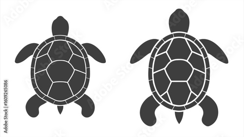 Silhouette duo of a tortoise and a turtle.
