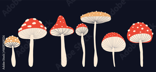 Vector set of stylized fly agarics on dark background. Collection of drawn magic amanita mushrooms