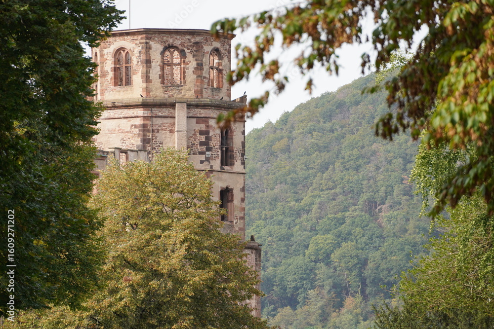 Naklejka premium Burgturm im Wald
