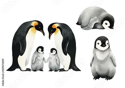 Vector watercolor Emperor Penguin / 水彩テイストのコウテイペンギン・赤ちゃんイラスト