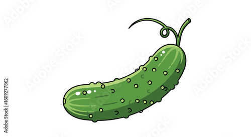 Illustration of a fresh green bumpy cucumber with a curly vine and leaves attached to the stem isolated on a white background