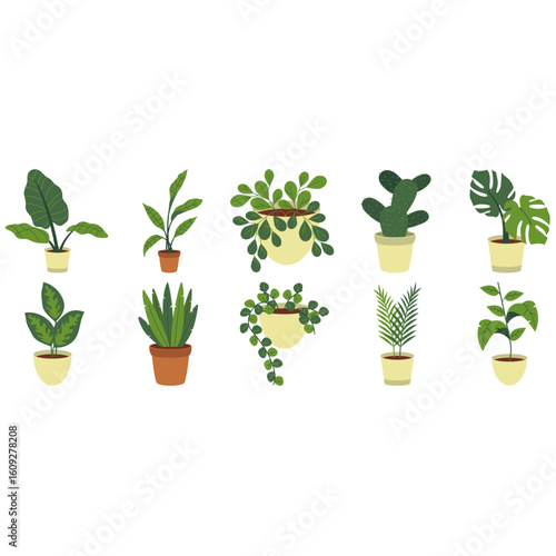 Green Simple Houseplant Illustration