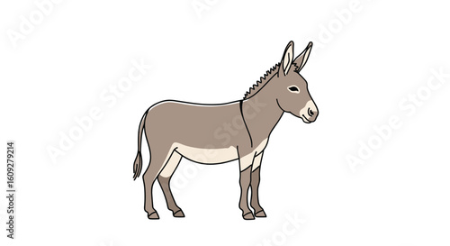 Understanding the donkey a versatile domesticated animal with a long history of service and companionship