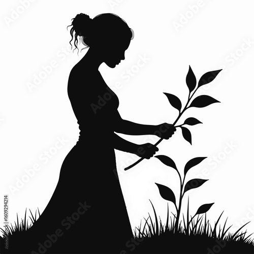 Silhouette of woman trimming leaves, showing care for plant. Woman trimming dead leaves to encourage plant's growth, showing a nurturing touch and gardening finesse.