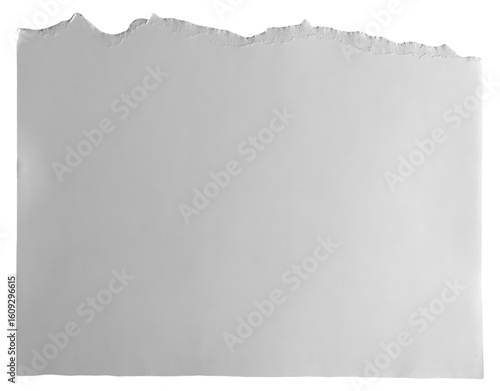 Hand Torn White Paper Edge – Horizontal Rip on Transparent Background