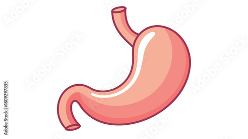 Stylized pink human stomach organ with dark red outline anatomy digestive