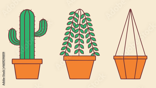 Three potted plants including a cactus and hanging plant green orange
